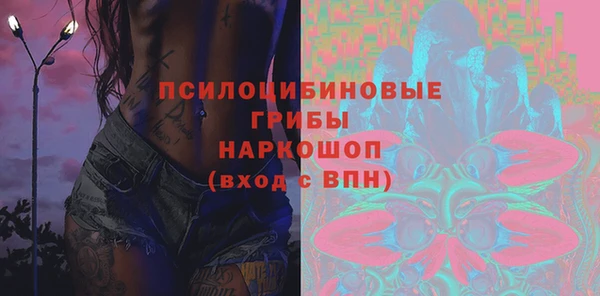 стаф Баксан