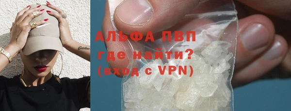 стаф Баксан