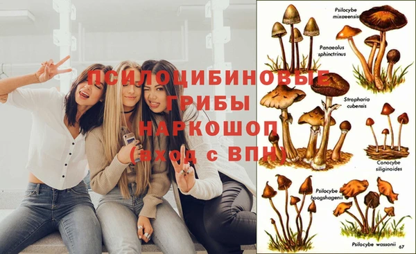 прущий лед Балахна