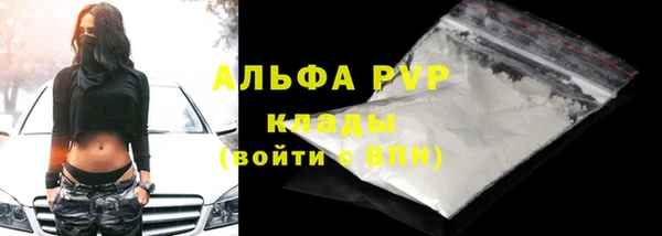 стаф Баксан