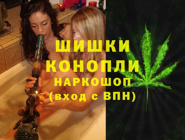 PSILOCYBIN Армянск
