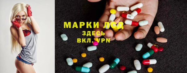 стаф Баксан