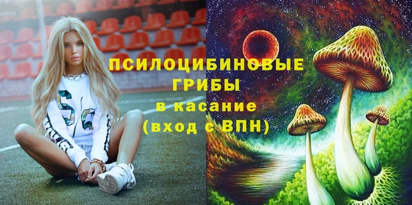 стаф Баксан